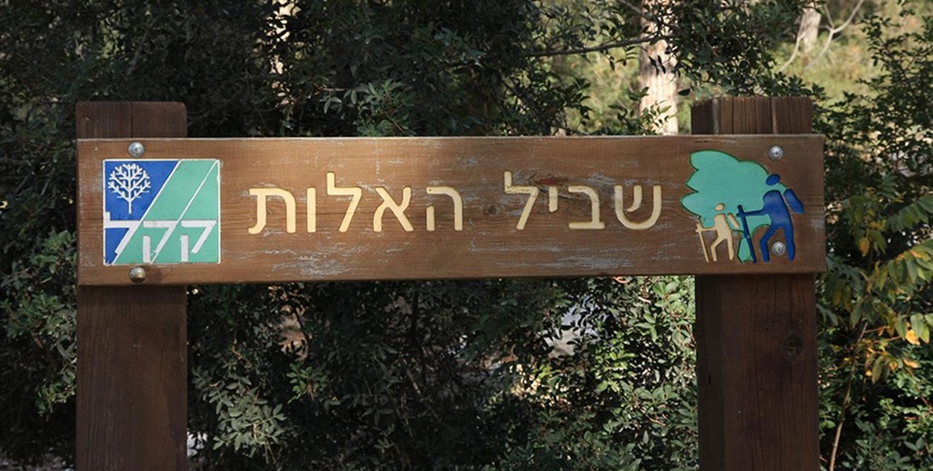 טיול בשביל האלות שבפארק בריטניה