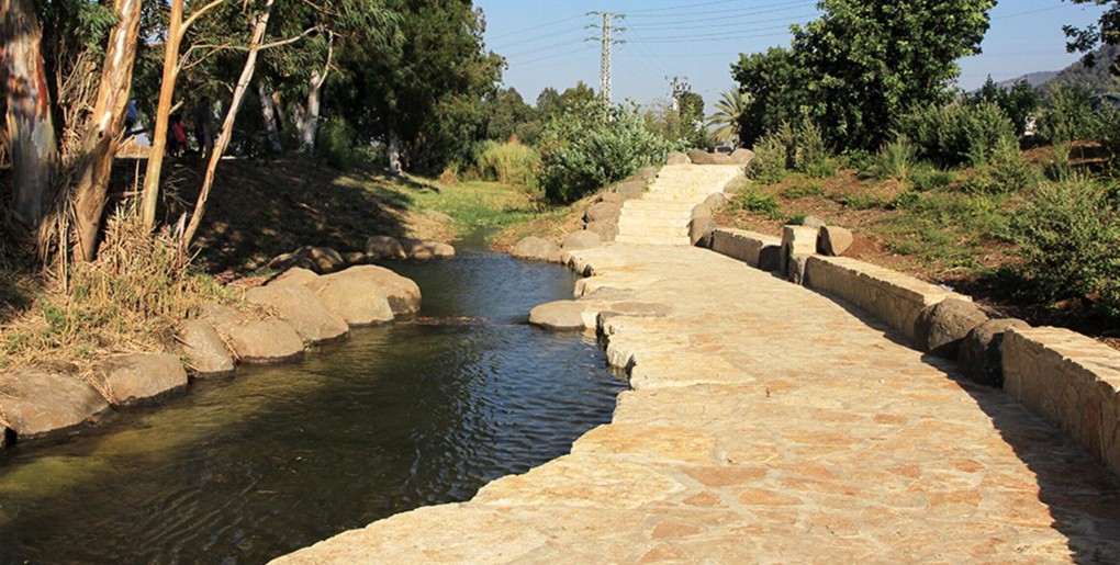 חורשת גדעון בנחל חרוד