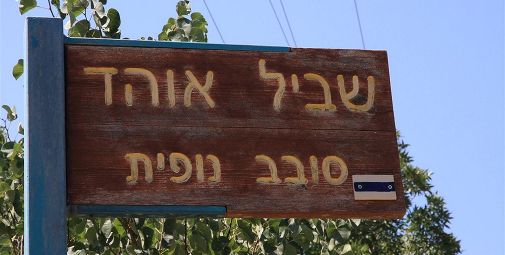 שביל אוהד – סובב נופית
