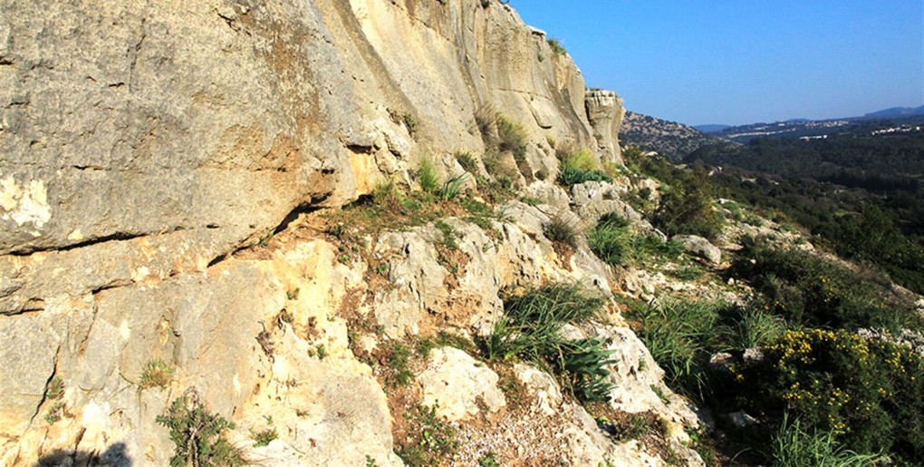 שביל הצניר ביער חניתה