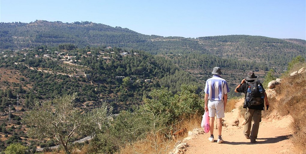 טיול לשביל הכפר בסטף