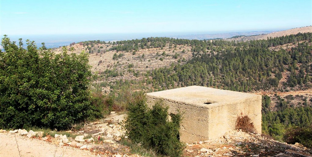 נווה אילן הישנה ויער המכללות
