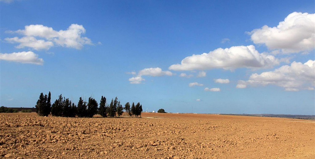 יער ניר משה