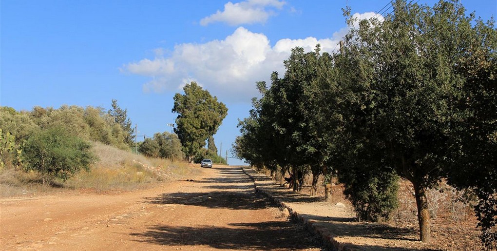 שביל קק"ל באילניה
