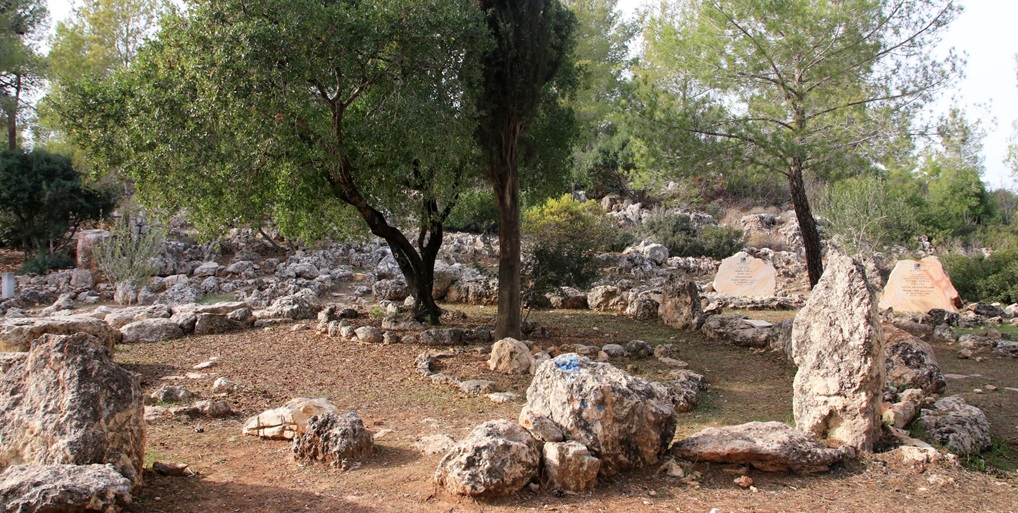 דרך דיפנבייקר בפארק רבין