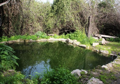 עין מסלע. צילום: יעקב שקולניק, ארכיון הצילומים של קקל