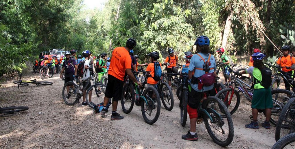 יער פלוגות