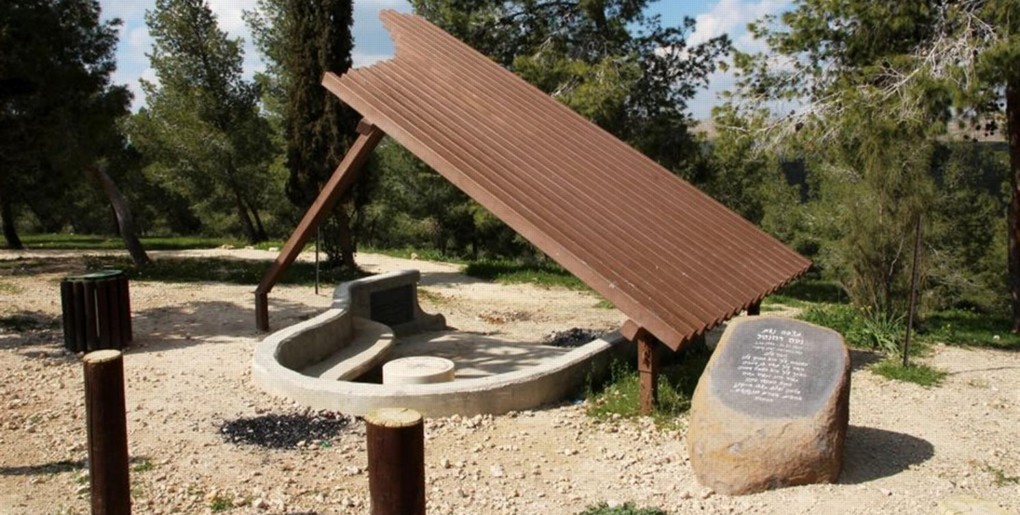 דרך נוף יער מיתר