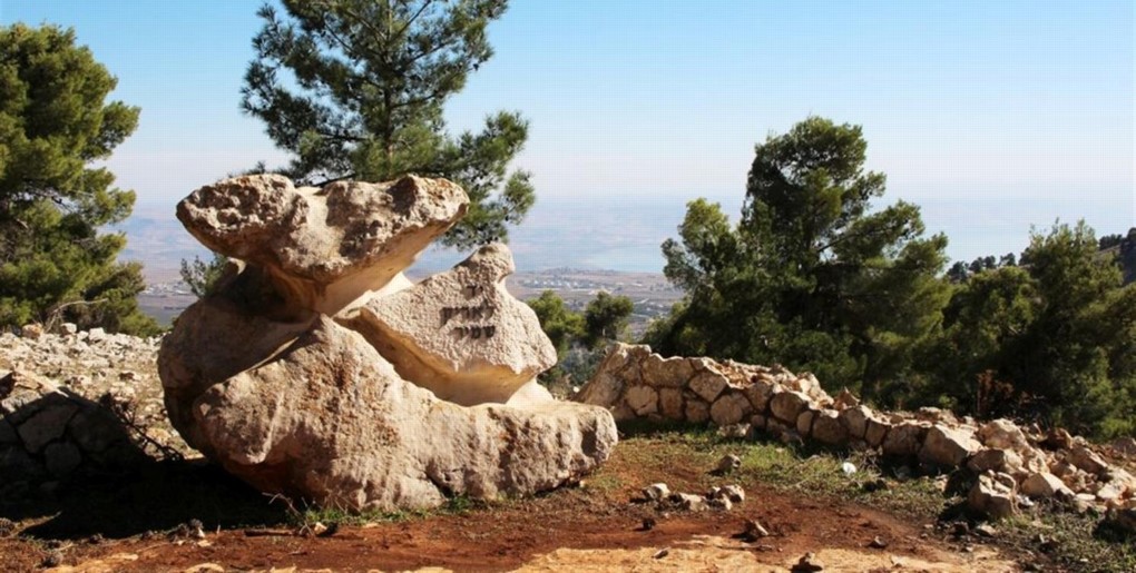 שביל סובב מישר ביער ביריה