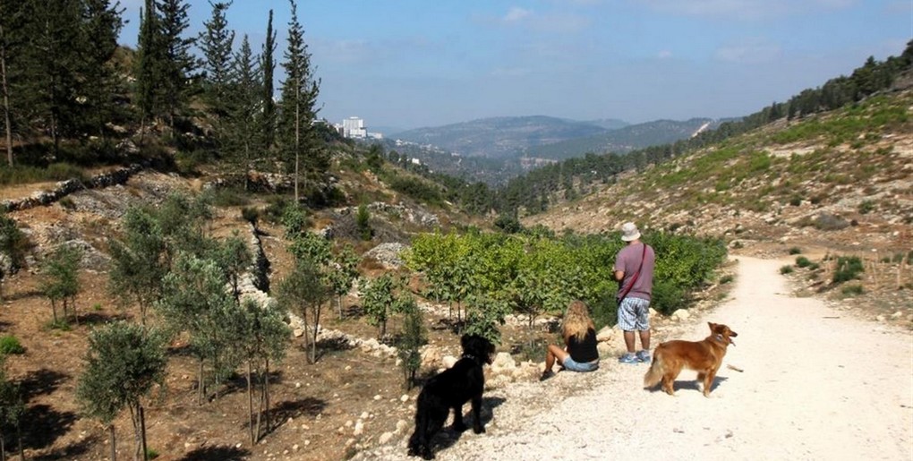 נחל עין כרם
