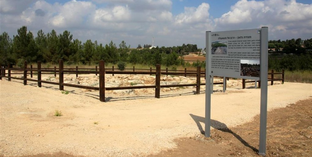 מצודת גלאון ביער גוברין