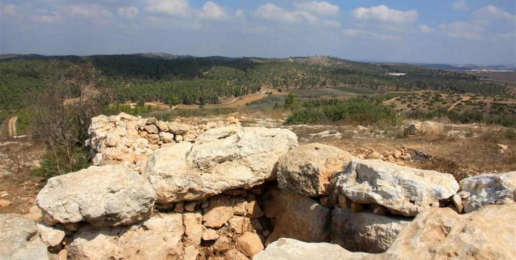 מגדל תצפית אדוריים ביער אמציה
