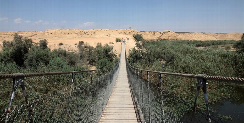 טיול ברכב פרטי בדרך הבשור