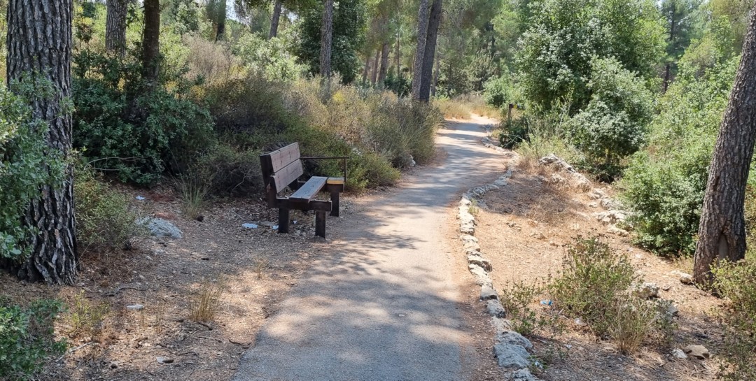 מסלול טיול נגיש בחורשת קדושי קהיר יער עמינדב