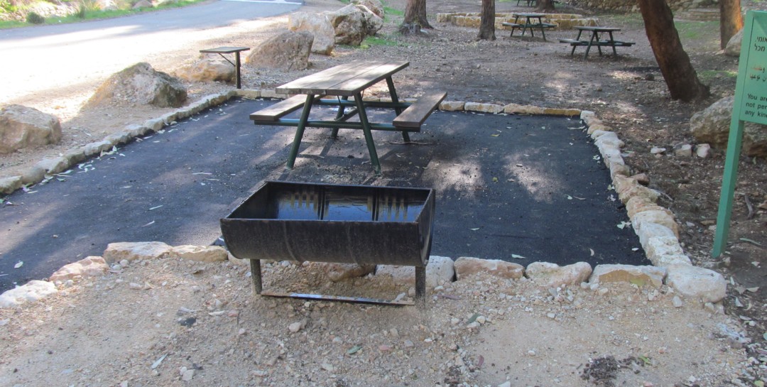 מסלול טיול נגיש ביד אנה פרנק יער הקדושים