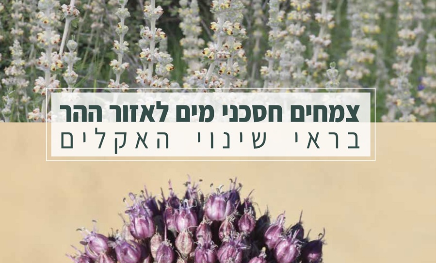 צילום: אורי פרגמן-ספיר