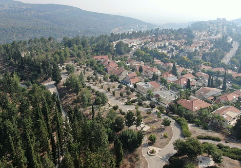 יער קהילתי יוקנעם