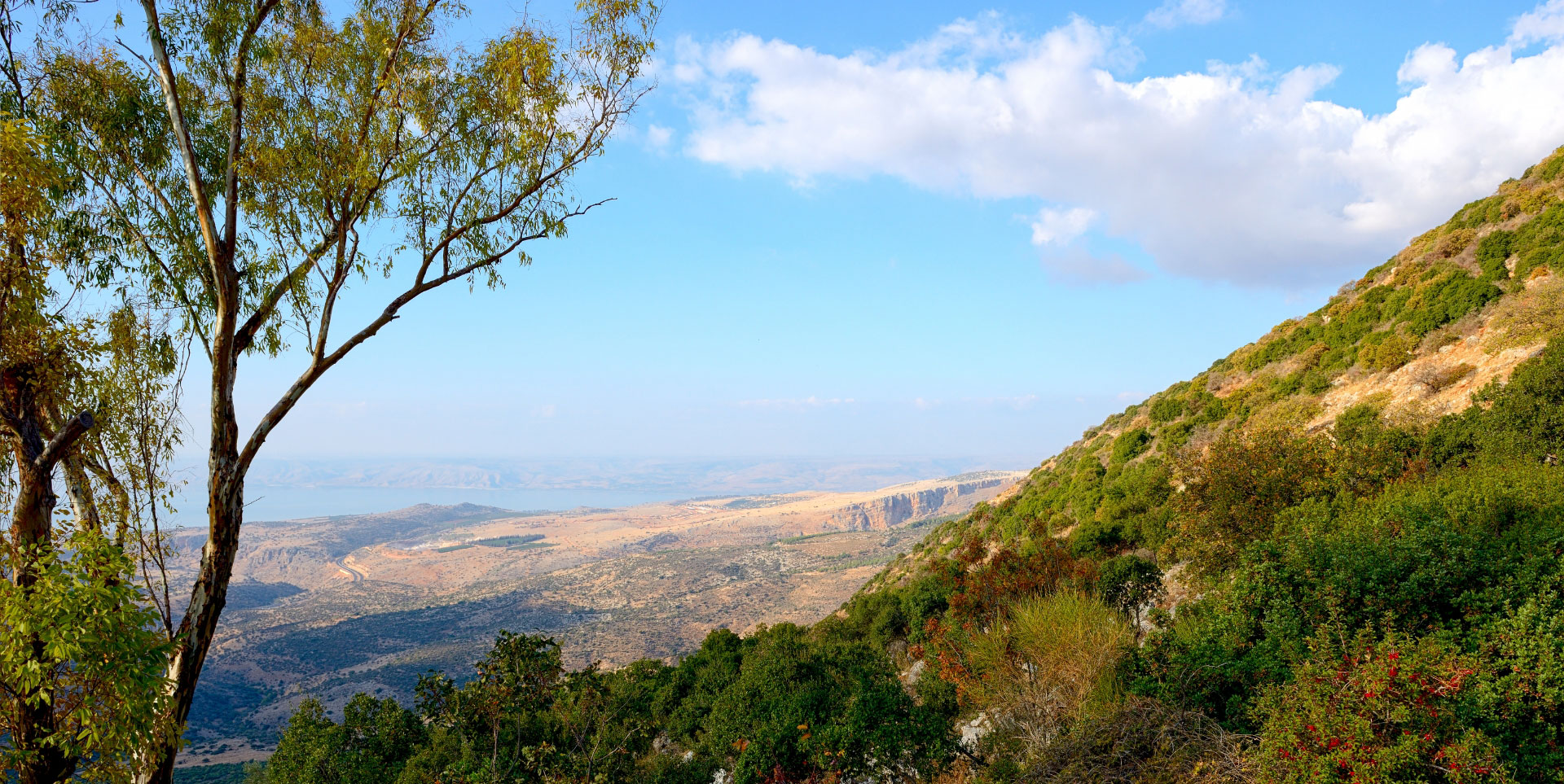 קרדיט לתמונה מוצלחת
