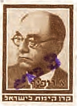 בול רופין