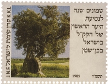 שמונים שנה לנטיעת היער הראשון