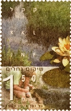 שיקום נחלים - נימפאה