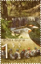שיקום נחלים - שלדג