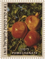שבעת המינים: רימון
