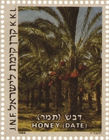 שבעת המינים: דבש (תמר)
