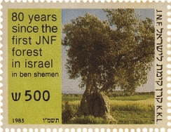 שמונים שנה לנטיעת היער הראשון