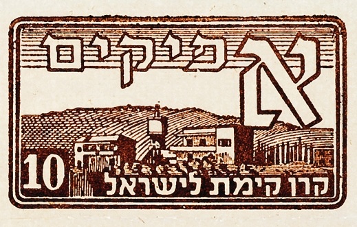 אפיקים