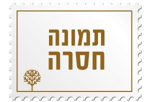 הרב קוק