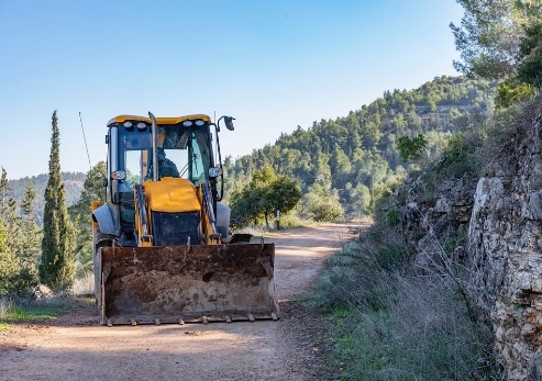 צילום: ארכיון הצילומים של קקל