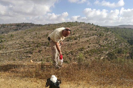 צילום: ארכיון הצילומים של קקל