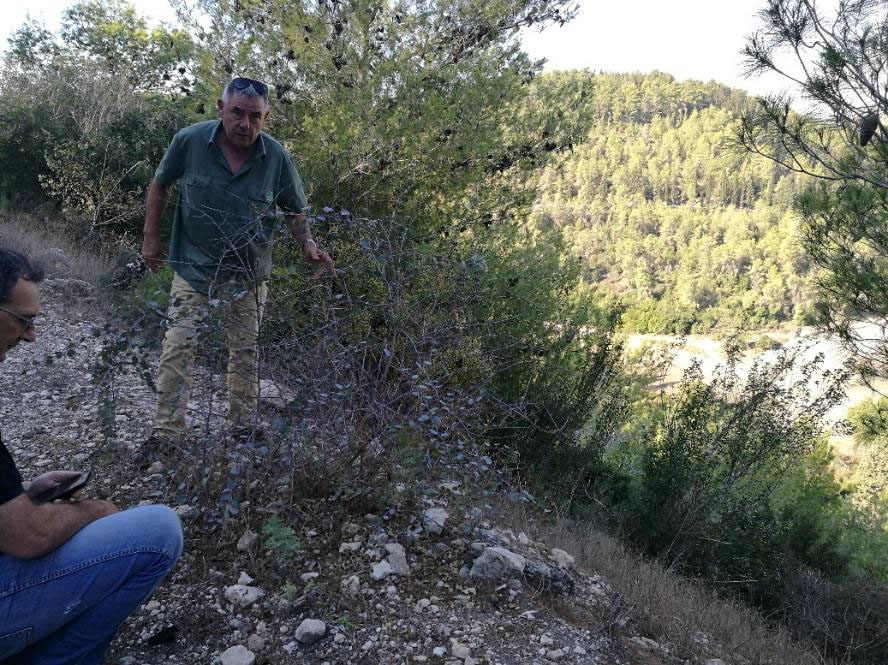 התחדשות מוקד ביער הזורע. צילום: שני גלייטמן