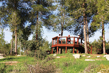 מרפסת תצפית ביער בן שמן. צילום: יעקב שקולניק