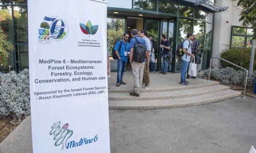 משתתפי כנס MedPine ה-6 בפקולטה לחקלאות ברחובות.  צילום: דניס צין