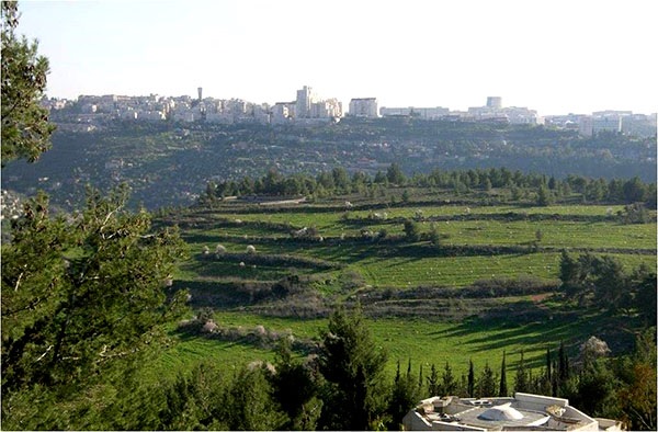 מצפה נפתוח. צילום: אלכס גייפמן