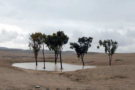 לימן במדבר.  צילום: נירה צדוק