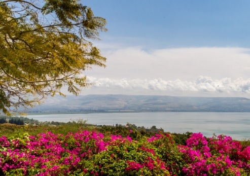 צילום: ארכיון הצילומים של קקל