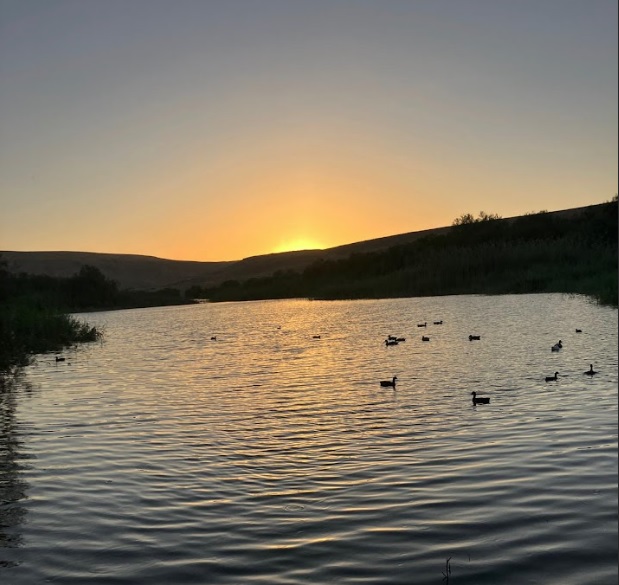 אגם ירוחם. צילום: זכריה זקי הלוי
