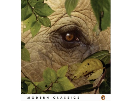 צילום: כריכת הספר הקפות ביער


