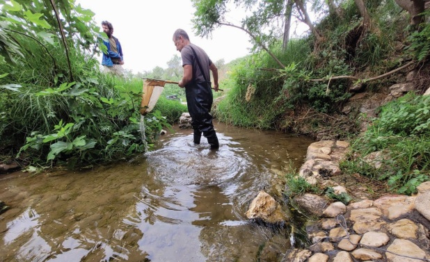 דגימה הידרוביולוגית בעין צובה. צילום: אריאל כהן
