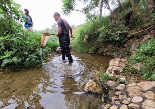 צילום: אריאל כהן


