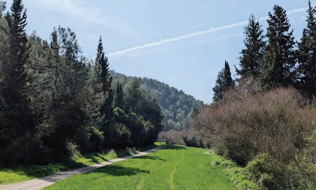 שביל סובב נחל השופט. צילום: יותם רשף