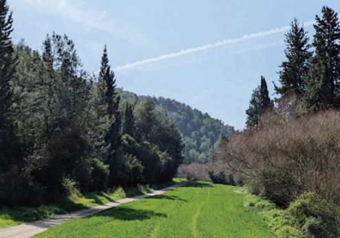 צילום: יותם רשף
