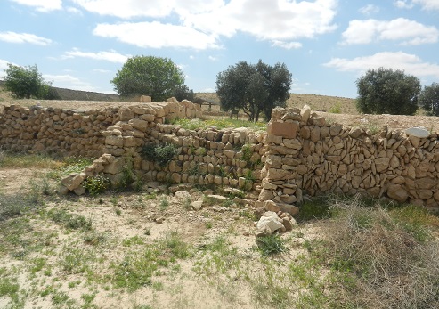 בוסתן ניצנה. צילום: איציק משה