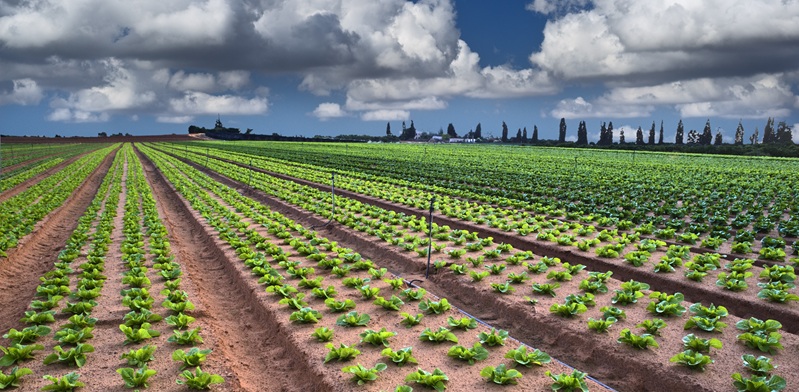 צילום: shutterstock