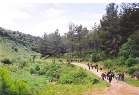 מטיילים ביערות ברעם. צילום: ארכיון צילומי קק''ל