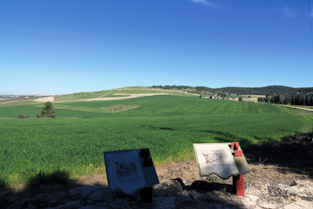 מצפור פנורמי. צילום: יעקב שקולניק
