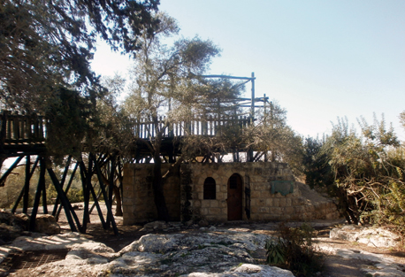 מצפה צרעה.  צילום: מירה זר